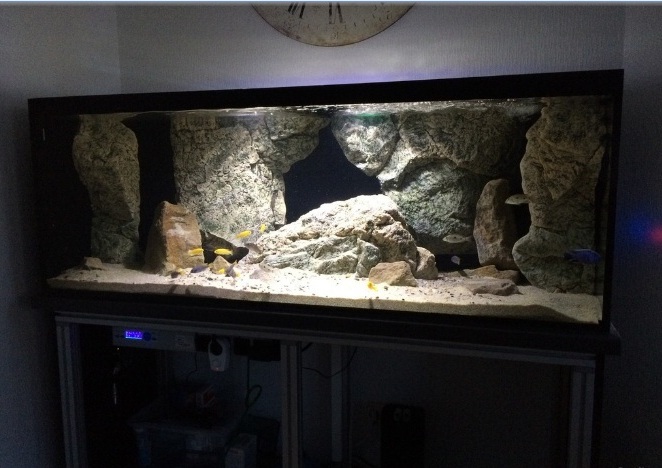 Malawi akvárium s kameny ARSTONE doma