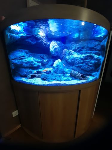 Alimar 3D Aquarium Rückwand von ARSTONE photo review