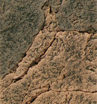 Basalt Gneiss