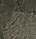 Grey Gneiss