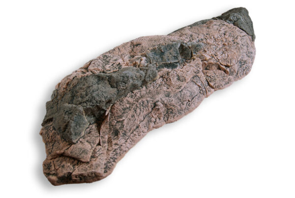 Rock R 156 x 58 x 20 cm Basalt Gneiss