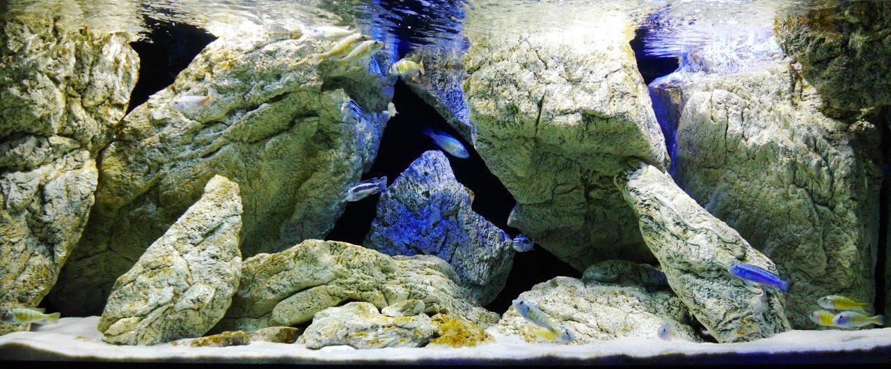 Malawi akvárium s akvarijními kameny a skaly ARSTONE