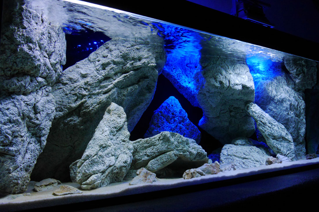 Akvárium Malawi s kameny čeká na tlamovce