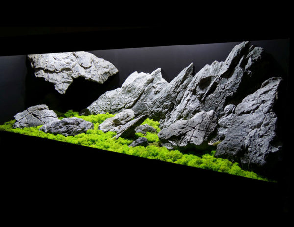 Aquarium backgrounds, 3D modules - ARSTONE Online Shop
