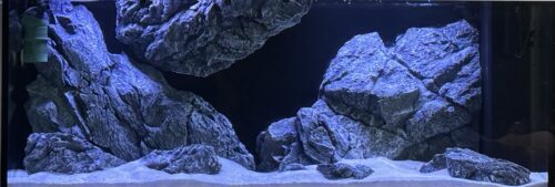 Set van 3D modules voor Juwel aquaria photo review