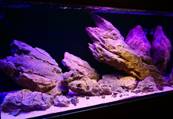 LEGE ARTIS Set von 3D Aquarium Schweren Modulen 120/130x60 cm